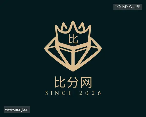 介绍比分网